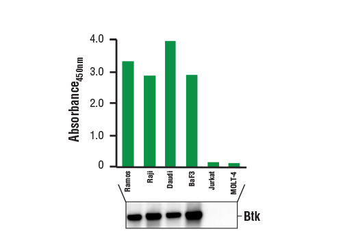 ELISA Image 1: PathScan<sup>®</sup> Total Btk Sandwich ELISA Kit