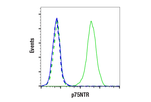 Flow Cytometry Image 1: p75NTR (D4B3) XP<sup>®</sup> Rabbit mAb (BSA and Azide Free)