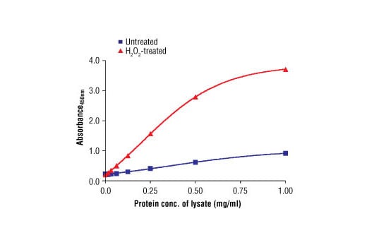 ELISA Image 1: PathScan<sup>®</sup> Phospho-AMPKα (Thr172) Sandwich ELISA Antibody Pair