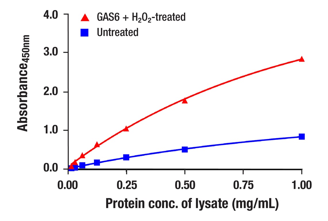 ELISA Image 2: Axl (C89E7) Rabbit mAb (BSA and Azide Free)