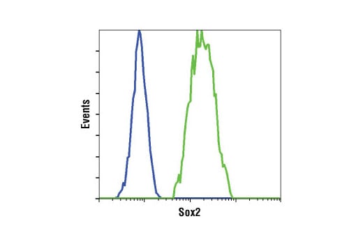 Flow Cytometry Image 1: Sox2 (D6D9) XP<sup>®</sup> Rabbit mAb (BSA and Azide Free)