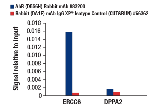 CUT & RUN Image 3: AhR (D5S6H) Rabbit mAb