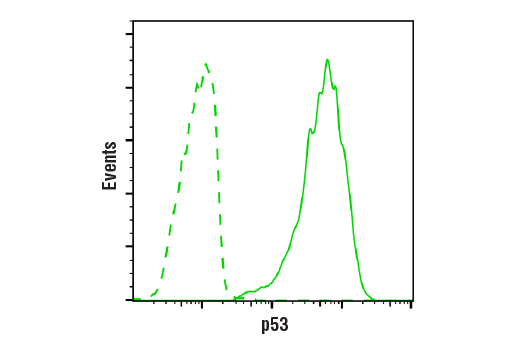 undefined Image 10: PhosphoPlus<sup>®</sup> p53 (Ser15) Antibody Duet