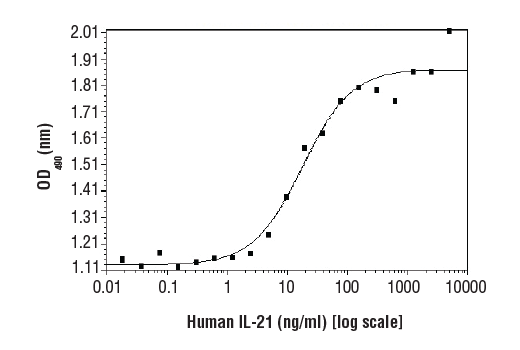 Human Interleukin-21 (hIL-21) Recombinant Protein: Image 1