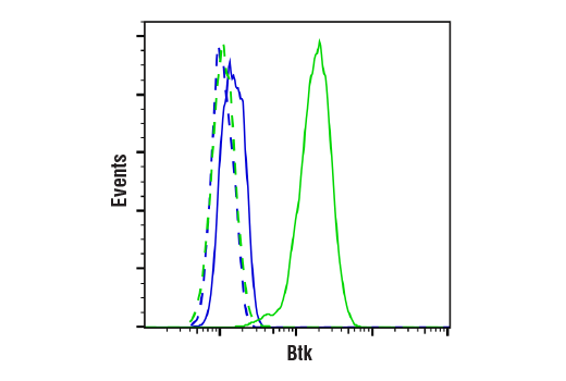 undefined Image 12: PhosphoPlus<sup>®</sup> Btk (Tyr223) Antibody Duet