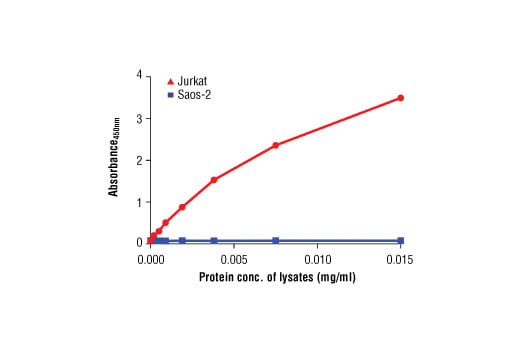 ELISA Image 2: PathScan<sup>®</sup> Phospho-Rb (Ser780) Sandwich ELISA Kit