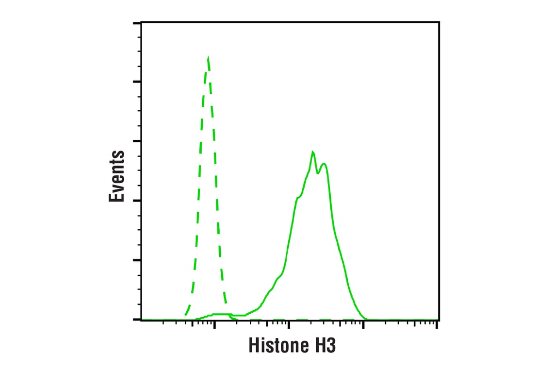 undefined Image 9: PhosphoPlus<sup>®</sup> Histone H3 (Ser10) Antibody Duet