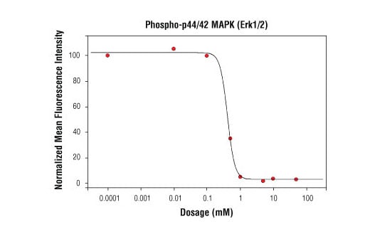 undefined Image 1: Anti-mouse IgG (H+L), F(ab')<sub>2</sub> Fragment (Alexa Fluor<sup>®</sup> 647 Conjugate)