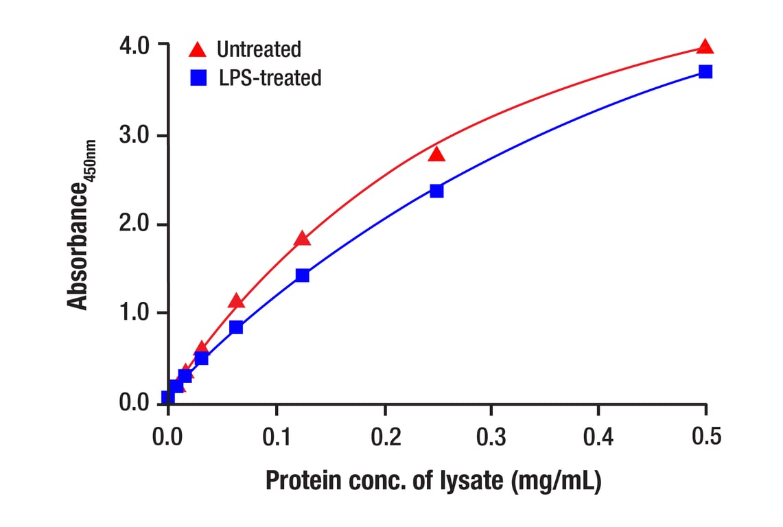 ELISA Image 2: TBK1/NAK (E8I3G) Rabbit mAb (BSA and Azide Free)