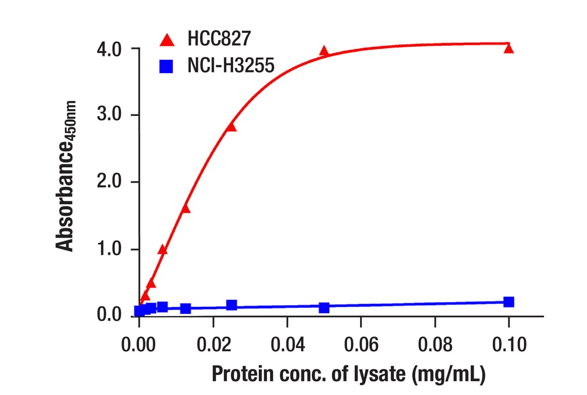 ELISA Image 2: EGF Receptor (C74B9) Rabbit mAb (BSA and Azide Free)