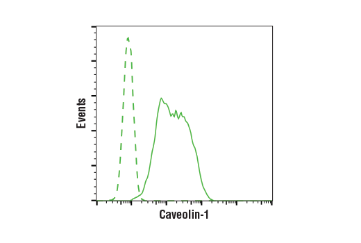 Flow Cytometry Image 1: Caveolin-1 (D46G3) XP<sup>®</sup> Rabbit mAb