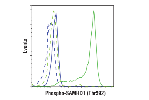 undefined Image 40: Host Cell Viral Restriction Factor Antibody Sampler Kit