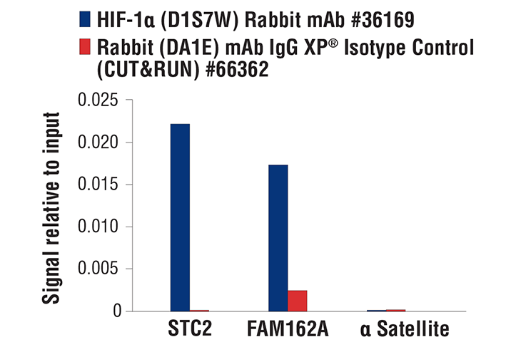 undefined Image 61: Microglia Neurodegeneration Module Antibody Sampler Kit
