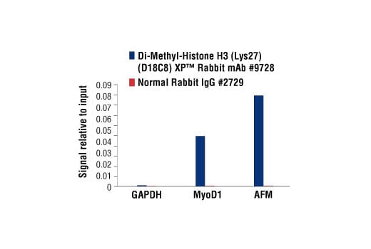 Chromatin Immunoprecipitation Image 1: Di-Methyl-Histone H3 (Lys27) (D18C8) XP<sup>®</sup> Rabbit mAb