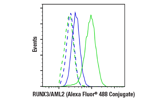 Flow Cytometry Image 1: RUNX3/AML2 (D6E2) Rabbit mAb (Alexa Fluor<sup>®</sup> 488 Conjugate)