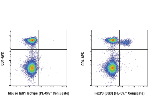 Flow Cytometry Image 1: FoxP3 (3G3) Mouse mAb (PE-Cy7<sup>®</sup> Conjugate)