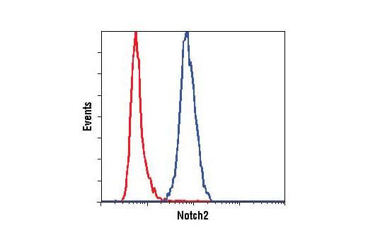 Flow Cytometry Image 1: Notch2 (D76A6) XP<sup>®</sup> Rabbit mAb (BSA and Azide Free)