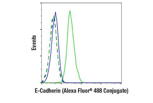 Flow Cytometry Image 1: E-Cadherin (4A2) Mouse mAb (Alexa Fluor<sup>®</sup> 488 Conjugate)