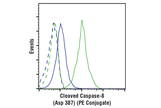 Flow Cytometry Image 1: Cleaved Caspase-8 (Asp387) (D5B2) XP<sup>®</sup> Rabbit mAb (PE Conjugate)