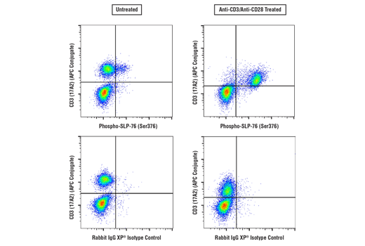 Flow Cytometry Image 3: Phospho-SLP-76 (Ser376) (E3G9U) XP<sup>®</sup> Rabbit mAb