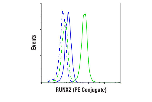 Flow Cytometry Image 1: RUNX2 (D1L7F) Rabbit mAb (PE Conjugate)