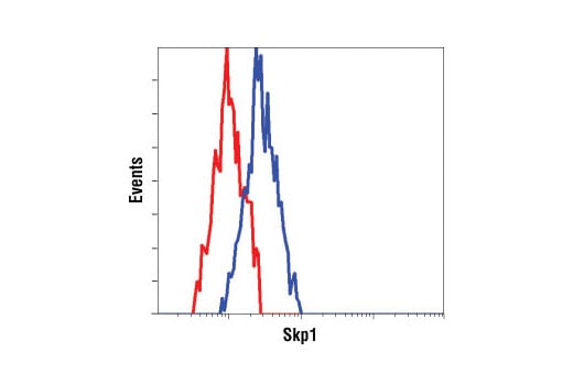 Flow Cytometry Image 1: Skp1 Antibody