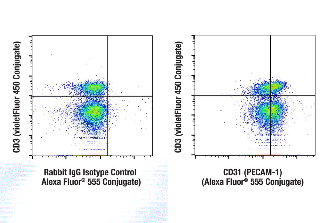 Flow Cytometry Image 1: CD31 (PECAM-1) (F2N3M) Rabbit mAb (Alexa Fluor<sup>®</sup> 555 Conjugate)