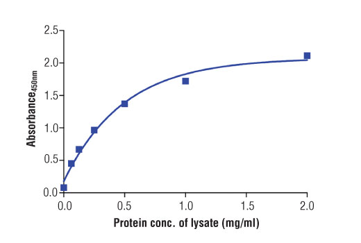 ELISA Image 2: PathScan<sup>®</sup> Total Bmi1 Sandwich ELISA Kit