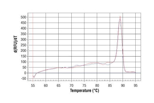 Chromatin Immunoprecipitation Image 1: SimpleChIP<sup>®</sup> Human ID1 Promoter Primers