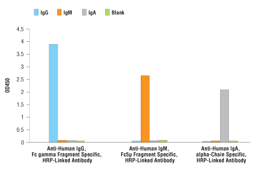 使用浓度为 0.005 μg/ml 的人 IgG、IgM 和 IgA 的特异度数据。结果表明在 1 μg/ml 浓度下使用的 Anti-Human IgA, alpha-Chain Specific, HRP-Linked Antibody 和人 IgG 或 IgM 之间没有反应性。
