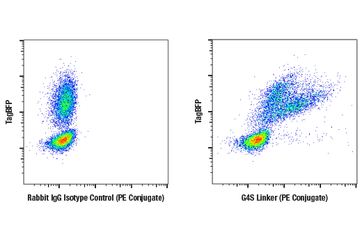 Flow Cytometry Image 1: G4S Linker (E7O2V) Rabbit mAb (PE Conjugate)