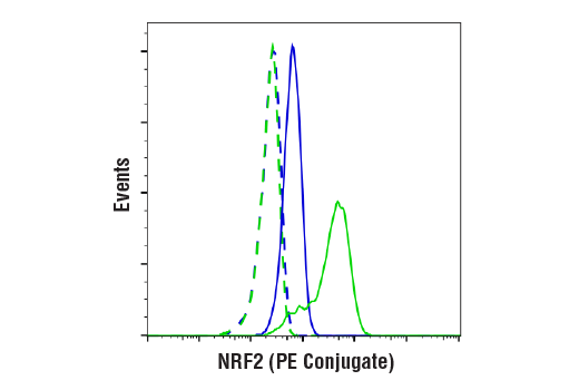 Flow Cytometry Image 1: NRF2 (D1Z9C) XP<sup>®</sup> Rabbit mAb (PE Conjugate)