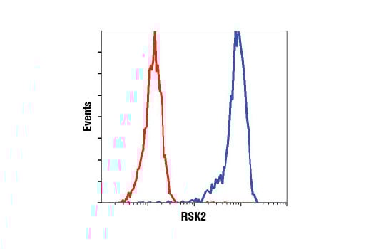 Flow Cytometry Image 1: RSK2 (D21B2) XP<sup>®</sup> Rabbit mAb