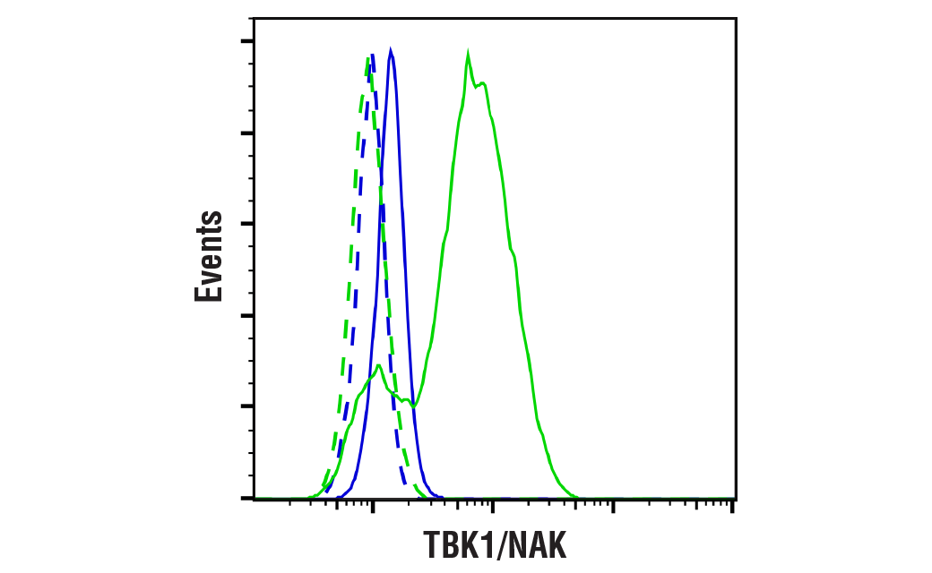 undefined Image 38: Xenophagy Antibody Sampler Kit