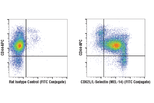 Flow Cytometry Image 1: CD62L/L-Selectin (MEL-14) Rat mAb (FITC Conjugate)