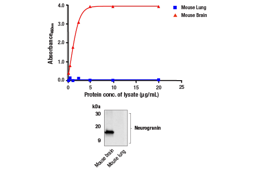 ELISA Image 1: FastScan<sup>™</sup> Total Neurogranin ELISA Kit