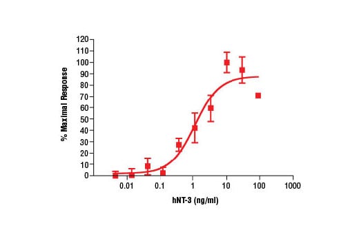 undefined Image 2: Human Neurotrophin-3 (hNT-3)