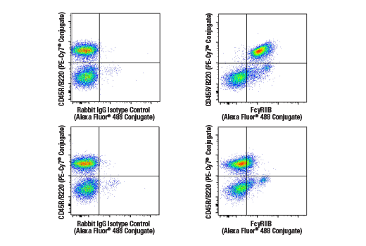 Flow Cytometry Image 1: FcγRIIB (D8F9C) XP<sup>®</sup> Rabbit mAb (Alexa Fluor<sup>®</sup> 488 Conjugate)