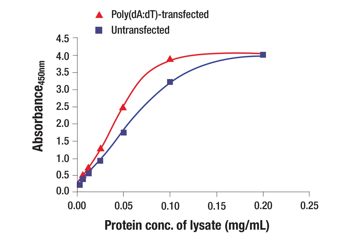 ELISA Image 1: IRF-3 (D83B9) Rabbit mAb (BSA and Azide Free)