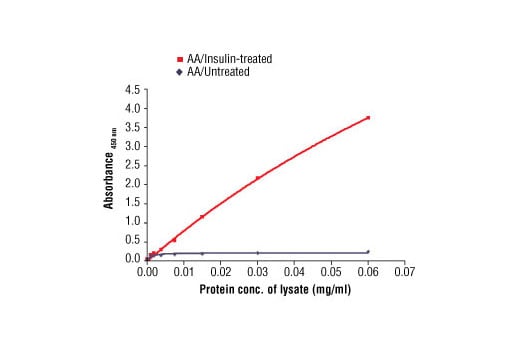 ELISA Image 1: PathScan<sup>®</sup> Phospho-4E-BP1 (Thr37/Thr46) Sandwich ELISA Antibody Pair