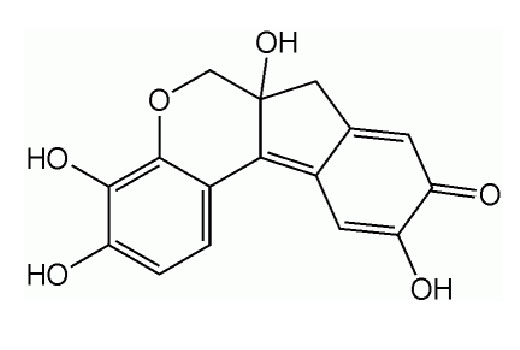 undefined Image 2: Hematoxylin