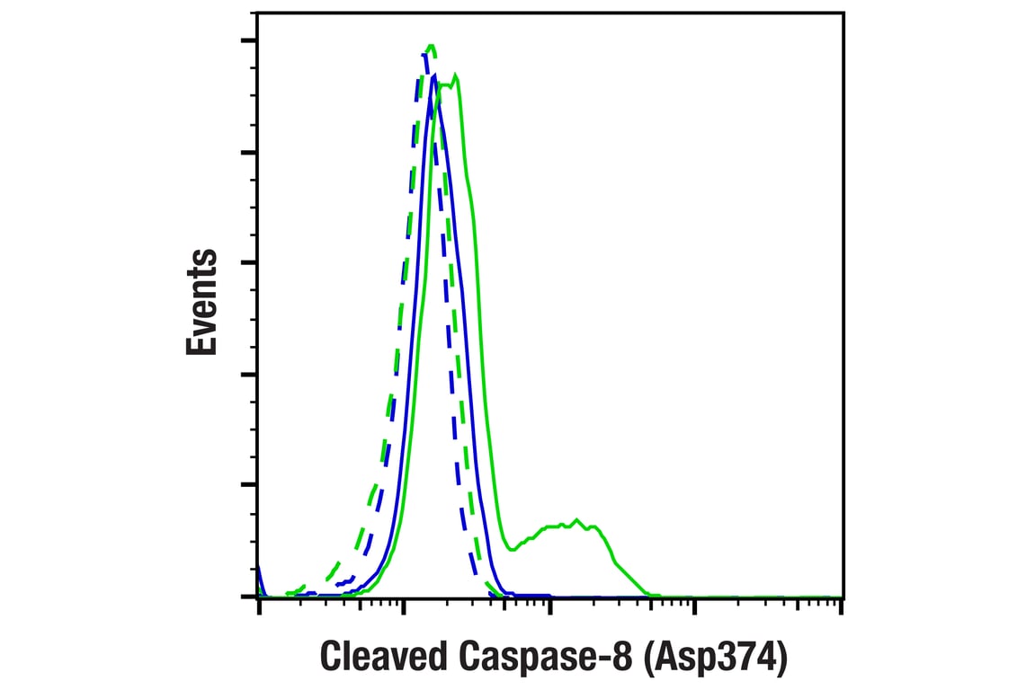 undefined Image 37: Apoptosis Antibody Sampler Kit II