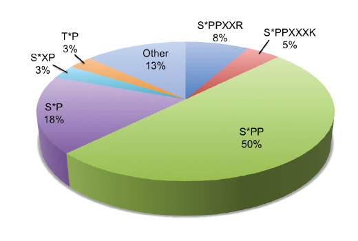 PTMScan® Phospho-Ser-Pro-Pro Motif [pSPP] Kit: Image 1