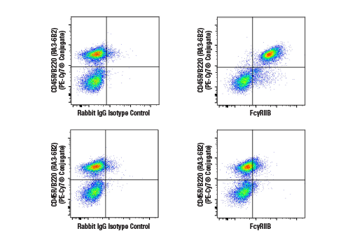 Flow Cytometry Image 4: FcγRIIB (D8F9C) XP<sup>®</sup> Rabbit mAb