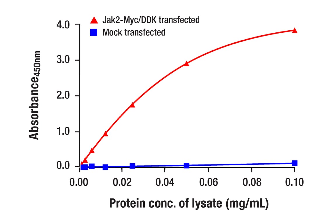ELISA Image 2: Jak2 (D5L7C) Mouse mAb (BSA and Azide Free)