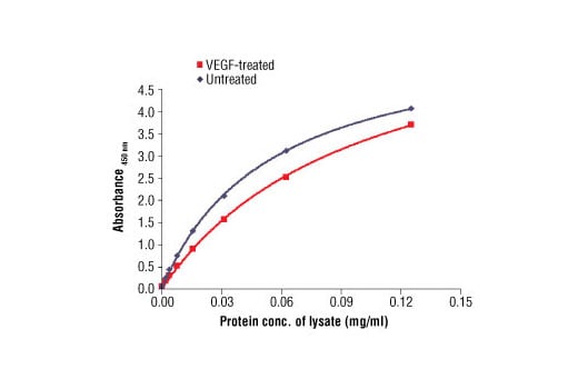 undefined Image 1: PathScan<sup>®</sup> Total VEGFR-2 Sandwich ELISA Antibody Pair