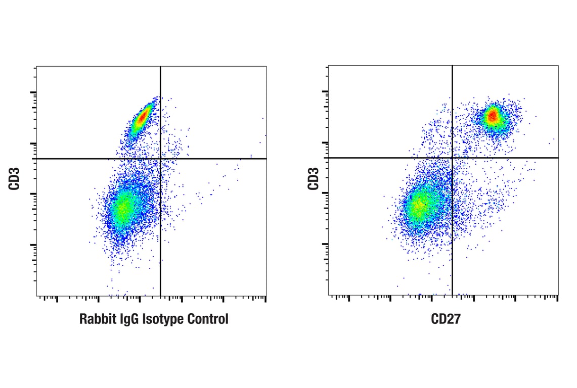 Flow Cytometry Image 1: CD27 (F3R2V) Rabbit mAb