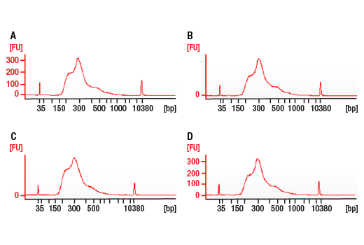 undefined Image 4: DNA Library Prep Kit for Illumina Systems (ChIP-seq, CUT&RUN)