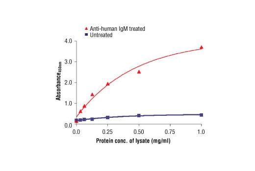 ELISA Image 2: PathScan<sup>®</sup> Phospho-Syk (panTyr) Sandwich ELISA Kit