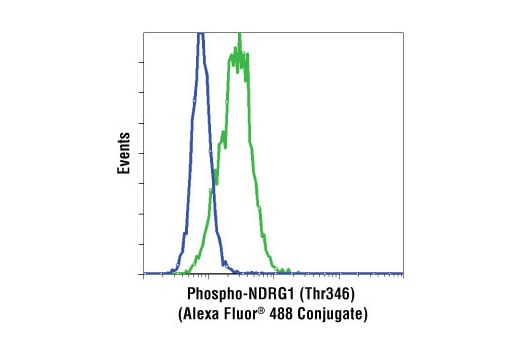 Flow Cytometry Image 1: Phospho-NDRG1 (Thr346) (D98G11) XP<sup>®</sup> Rabbit mAb (Alexa Fluor<sup>®</sup> 488 Conjugate)